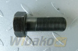 Screw wału korbowego M18x33x45 Cummins C0105081435