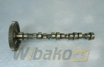 Camshaft for engine Cummins 3.9 3925582