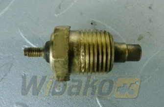Temperature sensor 12V, M21x15x20 for engine Case 4T-390 
