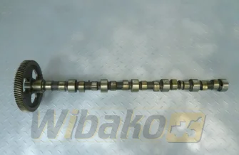 Camshaft for engine Cummins 8.3 3924471
