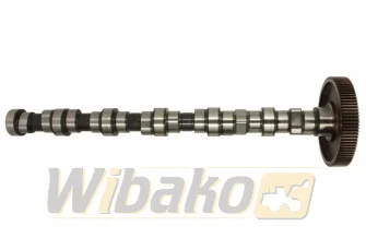 Camshaft BF Original 20100520136