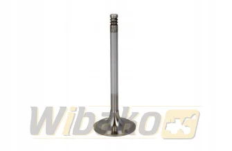 Inlet valve TRW 22307