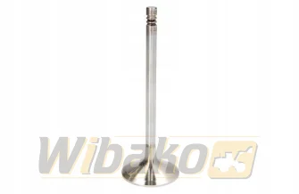 Inlet valve TRW 22209