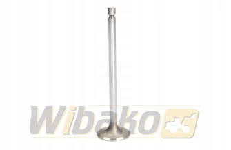 Inlet valve TRW 105-35632