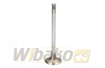 Exhaust valve TRW BF4M2012 / BF6M2012 22323