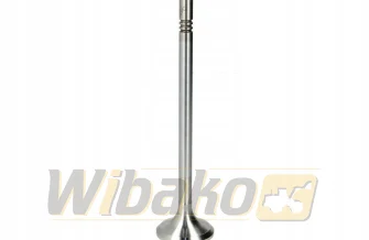 Exhaust valve TRW 22317