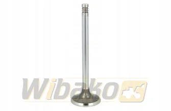 Exhaust valve TRW 22315
