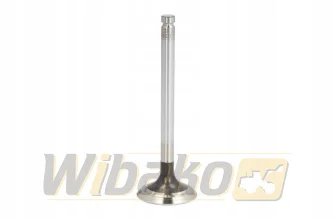 Exhaust valve TRW 105-35610