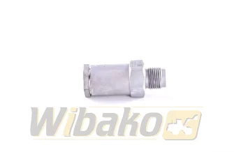Overflow valve Bosch 1110010020