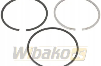 Piston rings STD Kolbenschmidt 800076010000