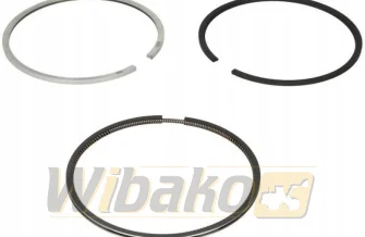Piston rings STD Kolbenschmidt 800071110000