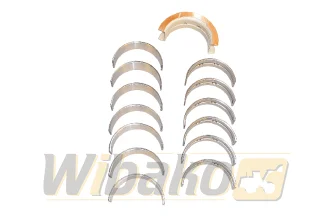 Main bearings WIBAKO 6CT 3802210