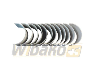 Rod bearings WIBAKO 6CT8.3 3950663