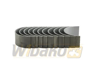 Rod bearings STD Mahle D906/D916/D926 439PS21055000