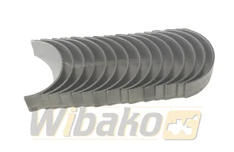 Main bearings STD Mahle D906/D916/D926 439HS21054000