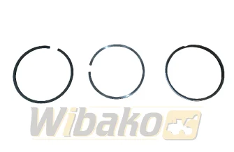 Piston rings Engine / Motor McBee QSB5.9 M-3806201