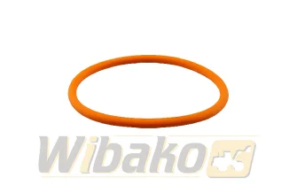 O-ring injector wbk 193736