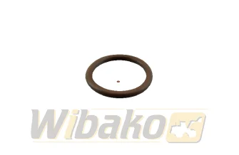 O-ring injection guide wbk 10342770
