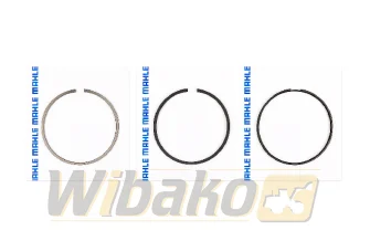 Piston rings STD Mahle 43913N0