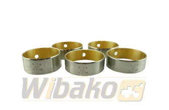 Bearings STD Kolbenschmidt 77692600