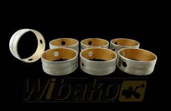 Bearings STD Kolbenschmidt 77802600