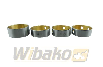 Bearings STD Kolbenschmidt 77834600