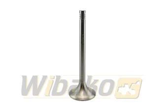 Exhaust valve wbk 9279579