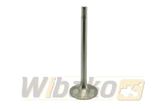 Inlet valve wbk 9279578
