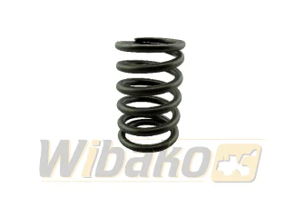 Valve spring IN,EX wbk 9267171