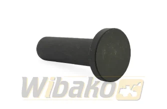 Tappet BF Original 201012B6060