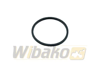 Gasket Liebherr 10294170