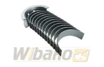 Main bearings STD Kolbenschmidt 77801600
