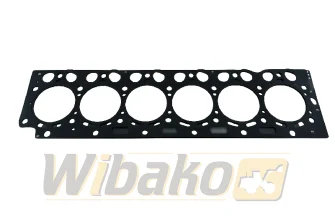 Cylinder head gasket Engine / Motor wbk BF6M2012 04289409