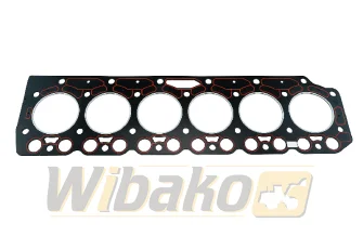 Cylinder head gasket Engine / Motor wbk BF6M1012 04209896