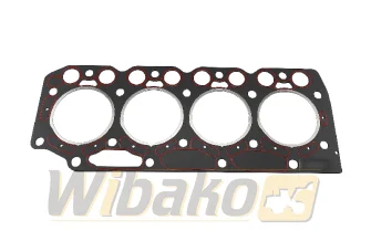 Cylinder head gasket Engine / Motor wbk BF4M1012 04209891