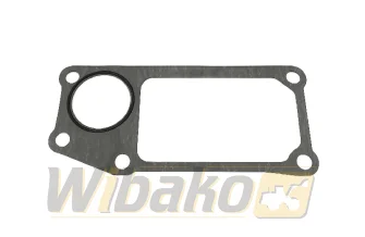 Water pump gasket Cummins QSB3.3 C6206611740