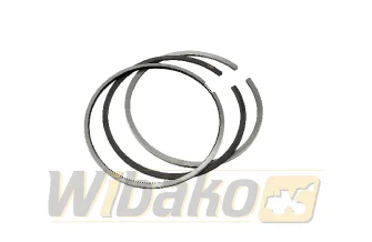 Piston rings Engine / Motor wbk 1012 / 2011 04251766