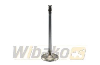 Inlet valve wbk BF1011 04170898