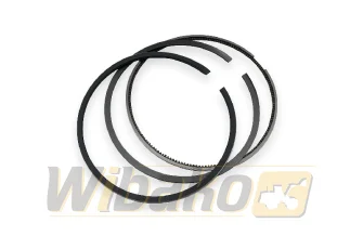 Piston rings Engine / Motor wbk 1013 04207595