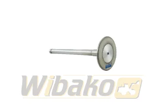 Inlet valve wbk 9268282