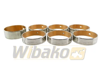 Bearings STD Kolbenschmidt 77830600