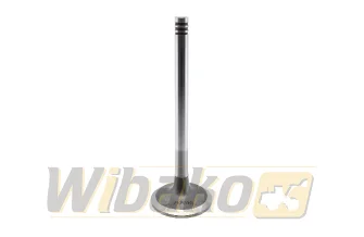 Inlet valve TRW 22325