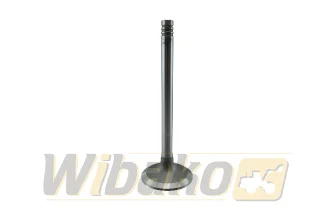 Inlet valve TRW BF4M2012 / BF6M2012 22302