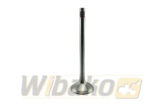 Exhaust valve TRW 1015 / 2015 22210