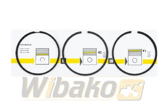 Piston rings Engine / Motor wbk D934/D936 10472345