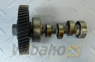 Camshaft pompy wtryskowej for engine Kubota D1305 16040-16170