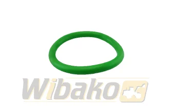 O-ring water pump connector wbk 01180277