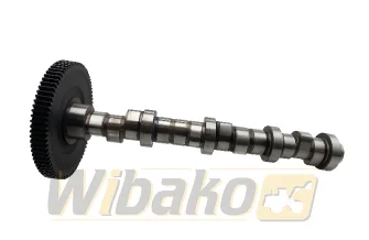 Camshaft BF Original 20100520124