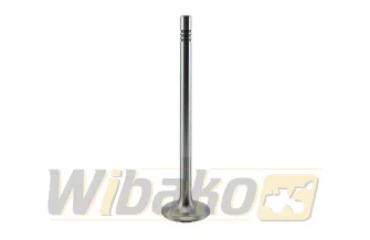 Inlet valve TRW 22312