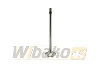 Exhaust valve TRW 22313